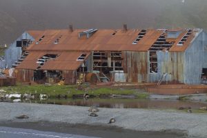 Stromness, South Georgia Island 002.jpg